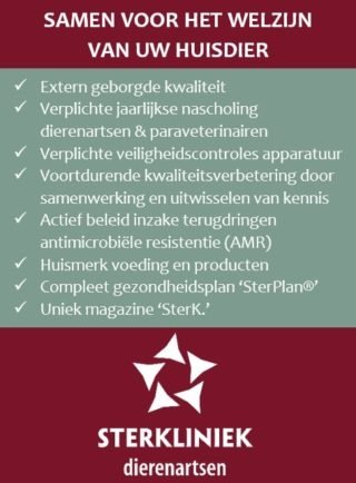 SKBV 2019